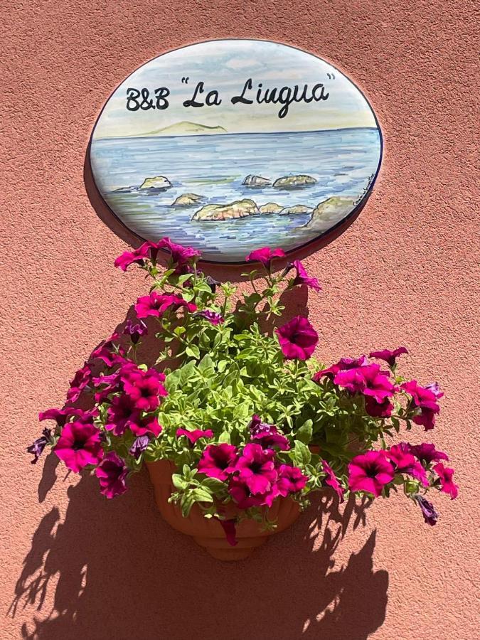 B&B La Lingua Procida Zewnętrze zdjęcie